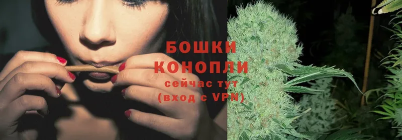 omg маркетплейс  дарнет шоп  Ковылкино  Шишки марихуана Ganja 